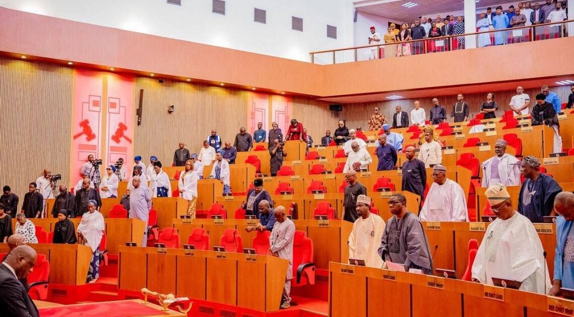 Nigerian senators during plenary at the National Assembly