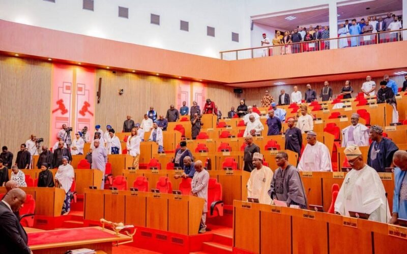 Nigerian senators during plenary at the National Assembly