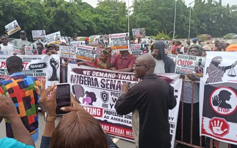 Civil society protesters at the National Assembly in Abuja