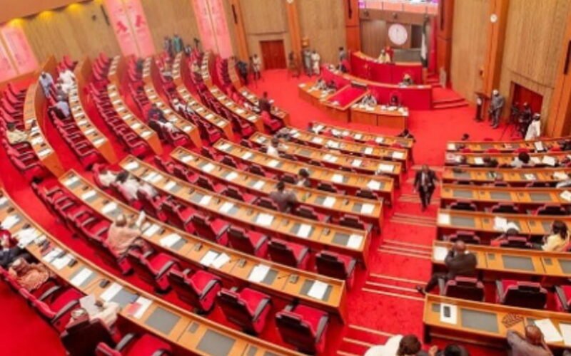 Nigerian Senate chamber during plenary