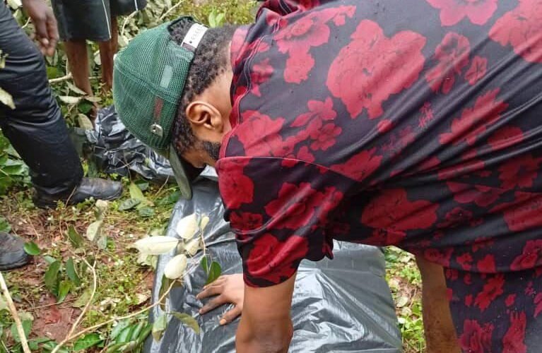 People at the forest site where troops exhumed the covered remains of Chief Ibe Anyadu