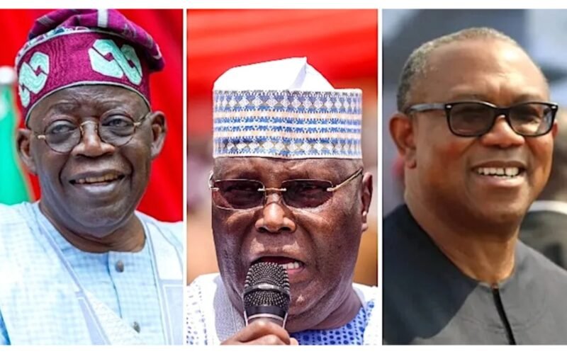 Bola Tinubu, Atiku Abubakar and Peter Obi in a source photo collage