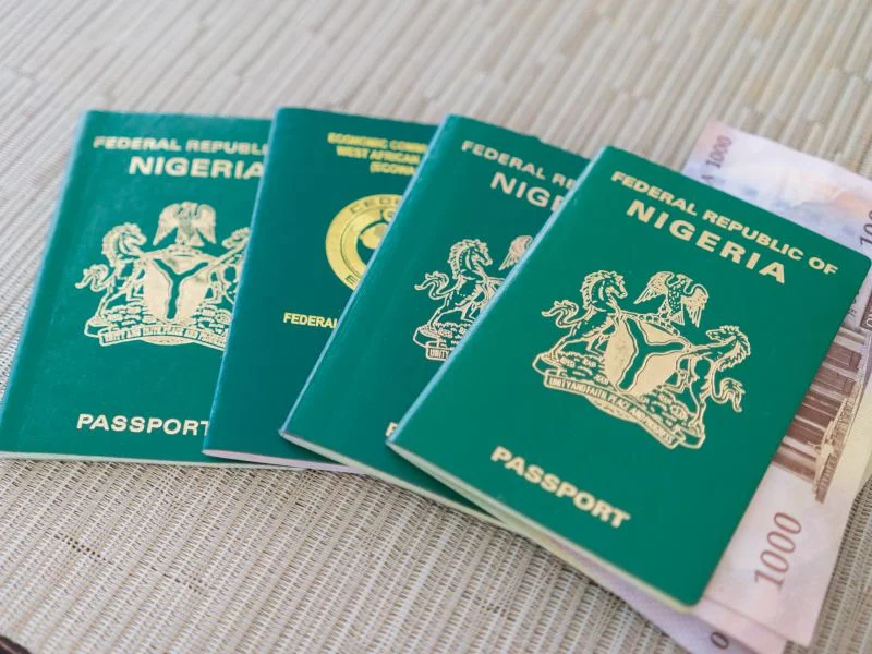Nigerian passports arranged on a surface, used as an illustrative image for the UK passport intervention exercise.