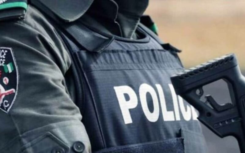 Nigerian police officer in tactical vest, used as a contextual image for a Sokoto police rescue story
