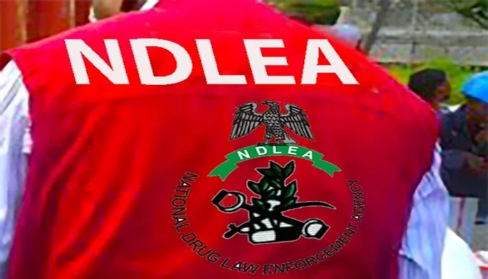 NDLEA officer wearing agency vest during a drug-control operation
