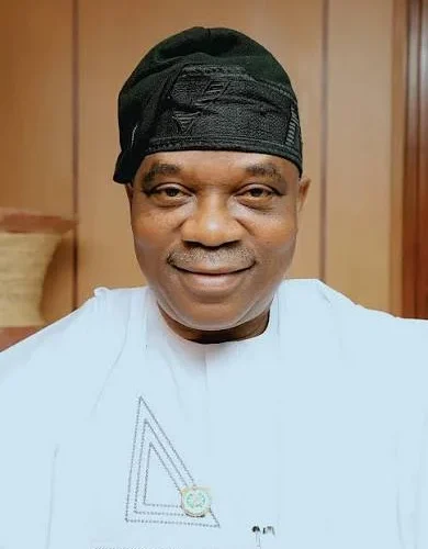 Minister of State for Foreign Affairs Sola Enikanolaiye