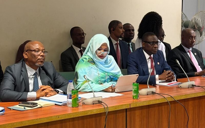 NFIU CEO Hafsat Abubakar Bakari at a House committee on financial crimes