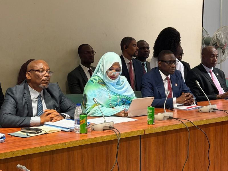 NFIU CEO Hafsat Abubakar Bakari at a House committee on financial crimes