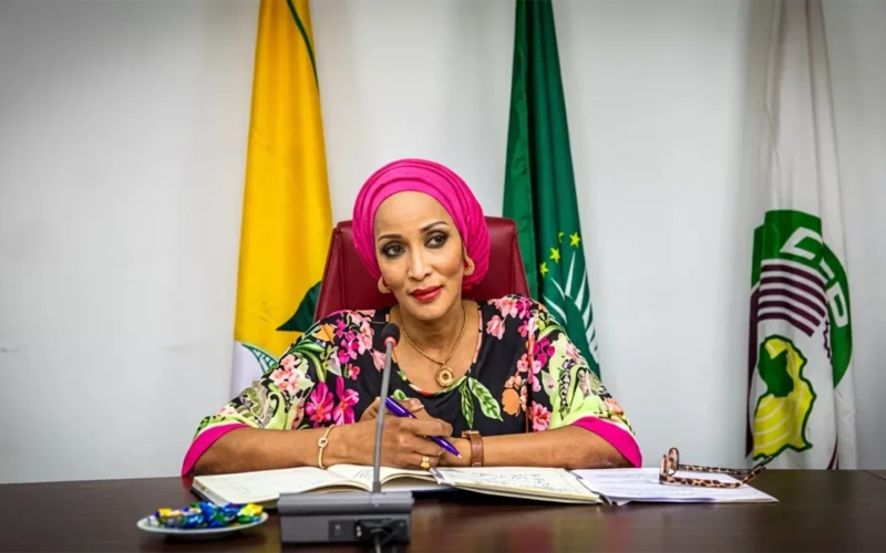 Foreign Affairs Minister Bianca Odumegwu-Ojukwu seated at a meeting