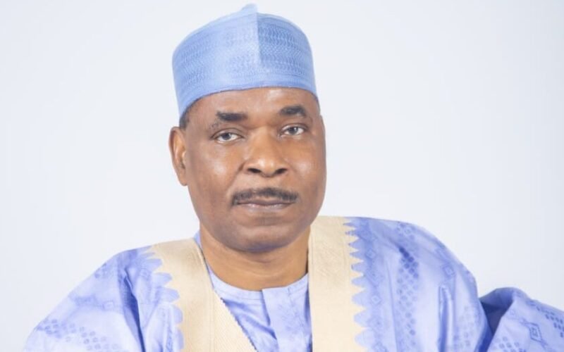 Former Inspector-General of Police Mohammed Adamu in a blue traditional cap
