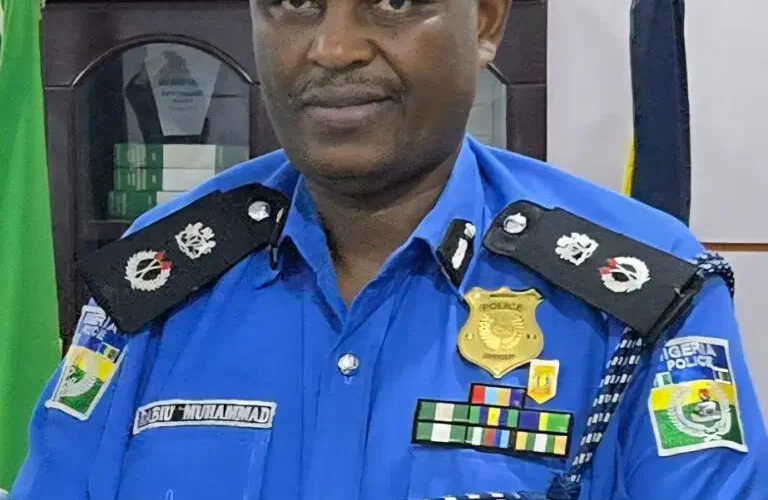 Kaduna Commissioner of Police Muhammad Rabiu in police uniform
