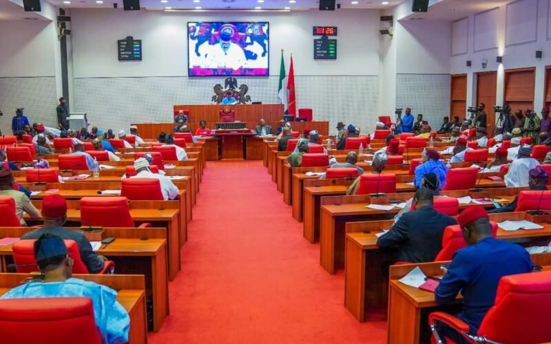 Nigerian Senate chamber during plenary