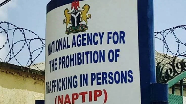 NAPTIP sign at an agency office, used as a contextual image for the Rivers illegal maternity facility case