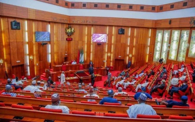 Nigerian senators during plenary at the Senate chamber