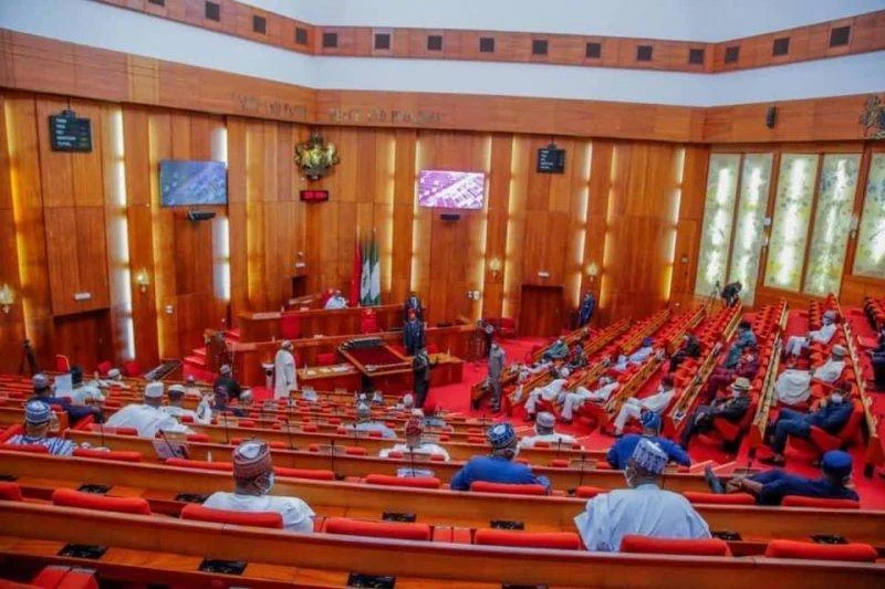 Nigerian senators during plenary at the Senate chamber