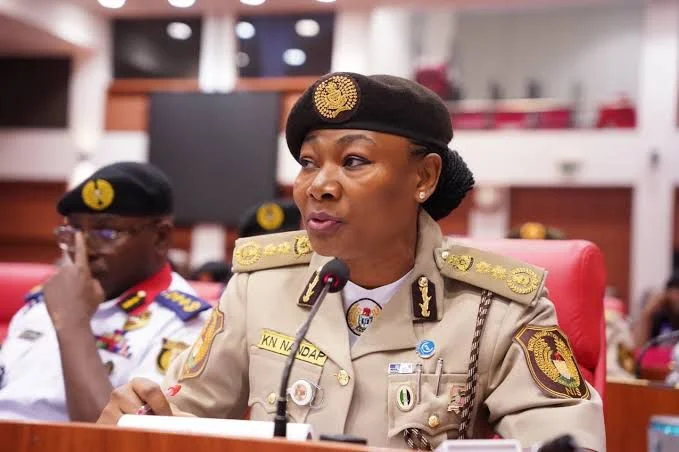 Nigeria Immigration Service Comptroller-General Kemi Nandap in uniform at a public hearing