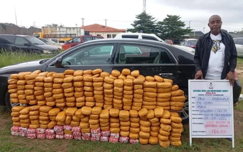 NDLEA operatives displaying seized blocks of cannabis and a suspect at an exhibit parade