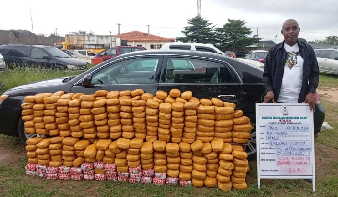 NDLEA operatives displaying seized blocks of cannabis and a suspect at an exhibit parade