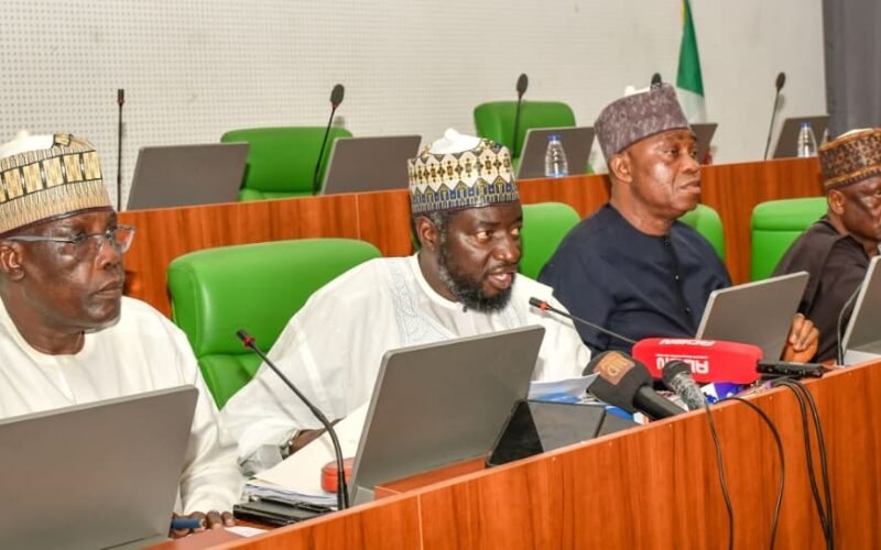Members of the House of Representatives committee during the PFIPC hearing