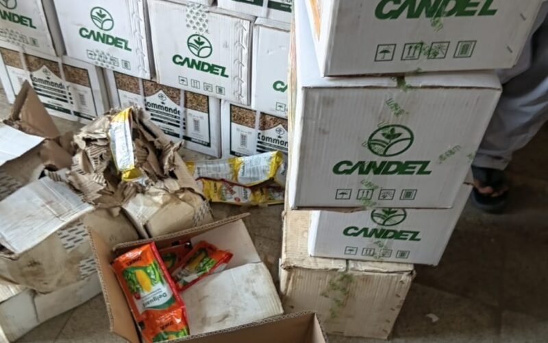 Expired agricultural chemical cartons and containers seized in Kano.