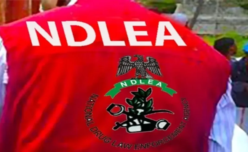 NDLEA officer vest used as contextual image for a Kano drug-trafficking probe story