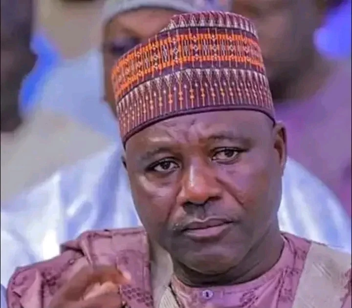 Borno State commissioner Sainna Buba
