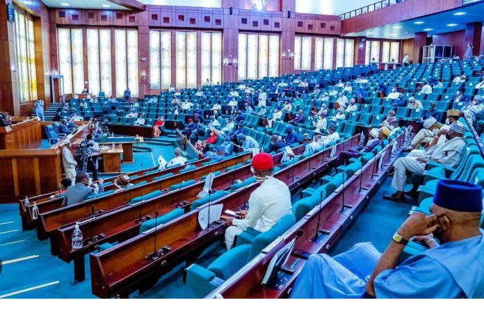 Members of the House of Representatives during plenary
