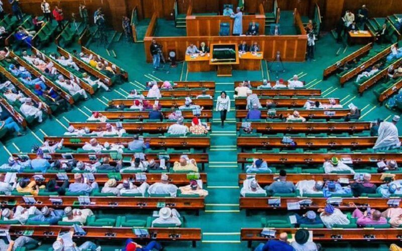 Nigeria House of Representatives chamber during plenary