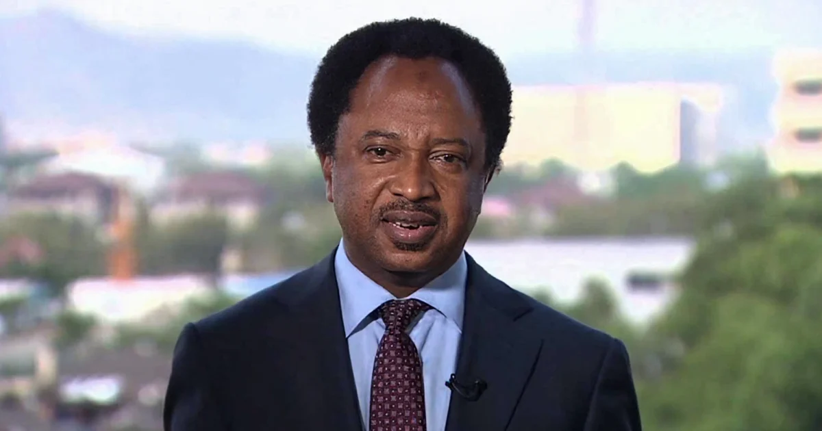 Shehu Sani during a television interview