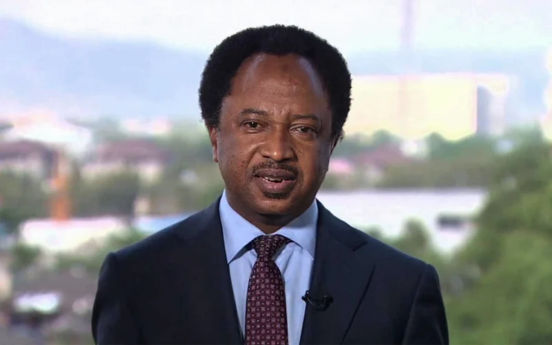Shehu Sani during a television interview