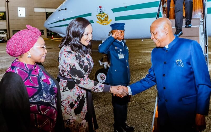 Vice President Kashim Shettima being received beside a Nigerian aircraft in New York