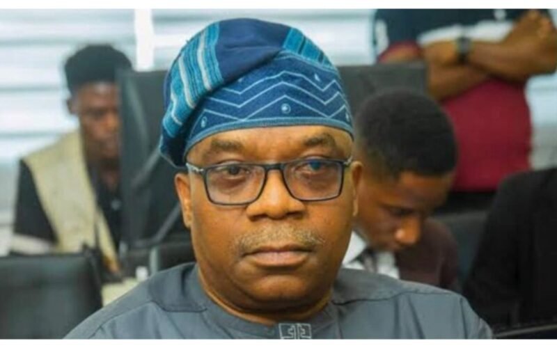 Sola Enikanolaiye, Minister of State for Foreign Affairs