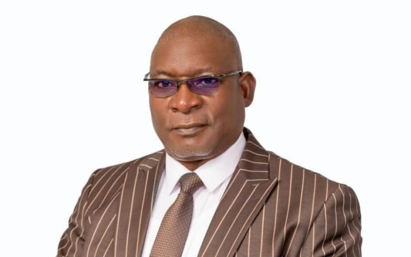 Auditor-General of the Federation Dr Shaakaa Kanyitor Chira. File portrait.