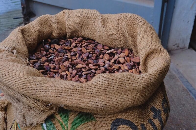Cocoa beans in a jute sack at an agricultural store