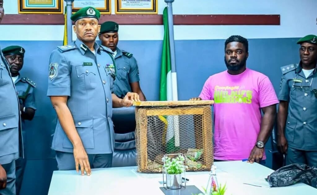 Customs officers and a conservation representative beside a wire-mesh cage.