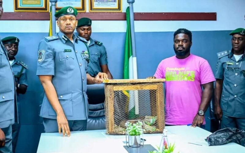 Customs officers and a conservation representative beside a wire-mesh cage.