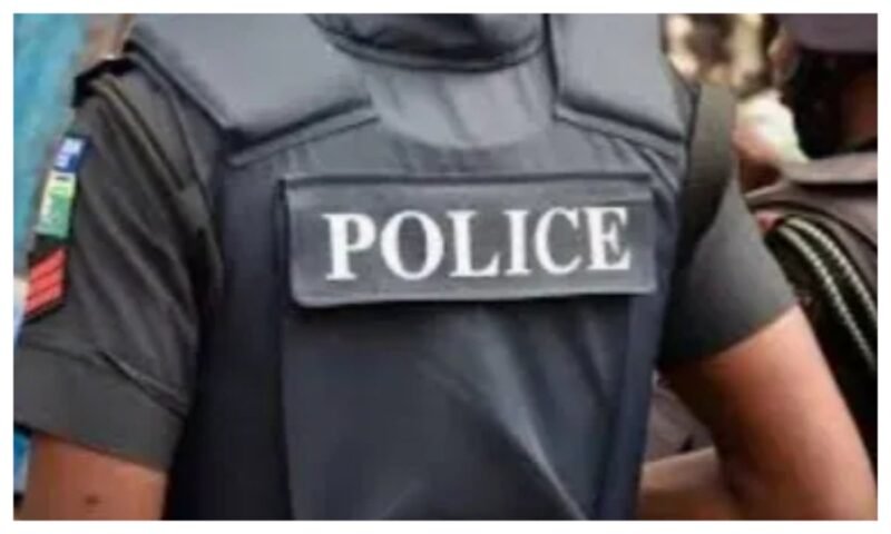 Close-up of a Nigerian police officer’s protective vest