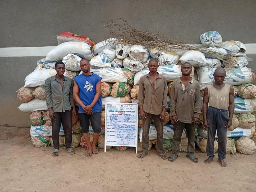 Five men stand in front of sacks of seized plant material in an NDLEA photograph.