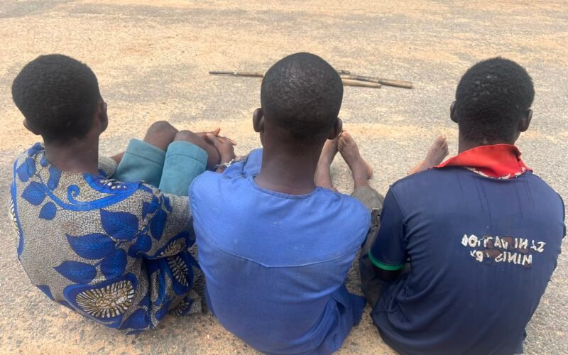 Three men seated with their backs to the camera after arrests in Oyo State.